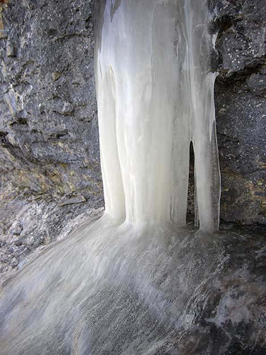 pinet08