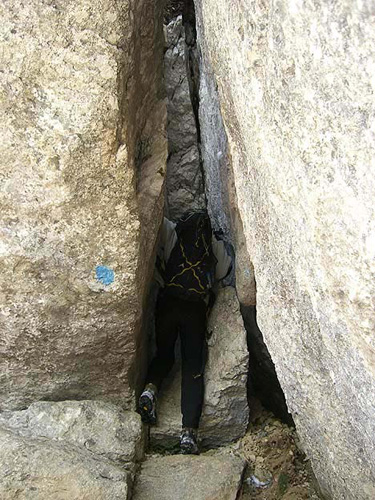 pinet11