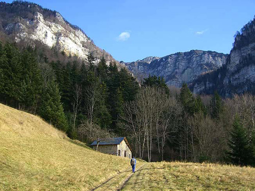 charminelle1