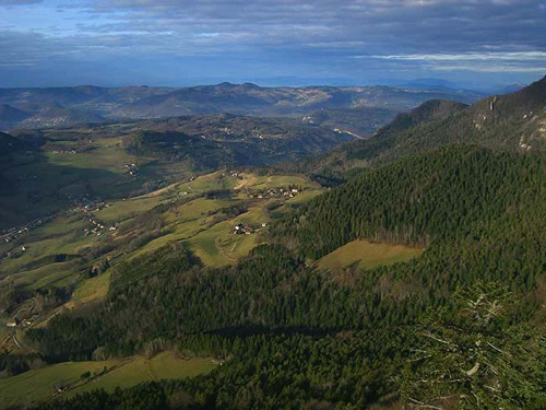 charminelle5