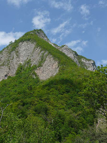 P1000180