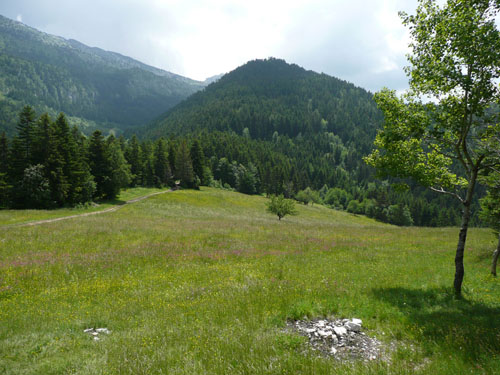 P1000695 - copie