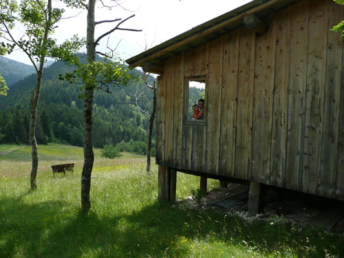 P1000711 - copie