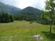P1000695 - copie
