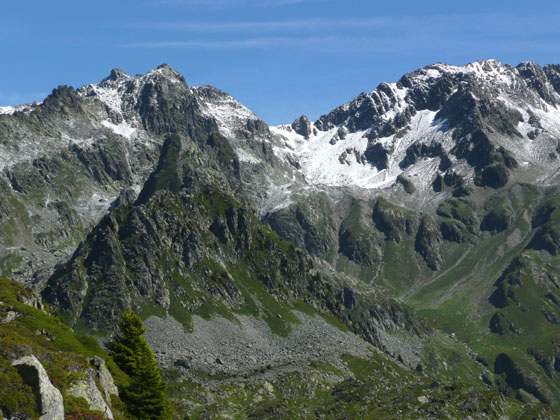 P1010550 - copie