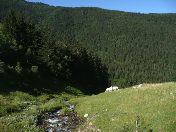 P1010927 - copie