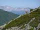 P1020037 - copie