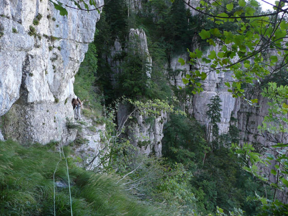P1020837 - copie