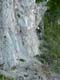 P1020833 - copie