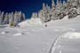 corbeau_2