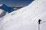 corbeau_4