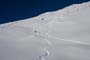 corbeau_8