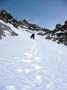P1080724 - copie