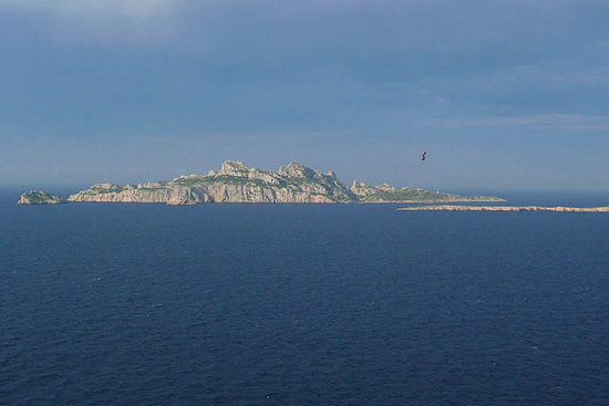 P1090186 - copie