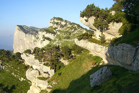CIMG6462 - copie