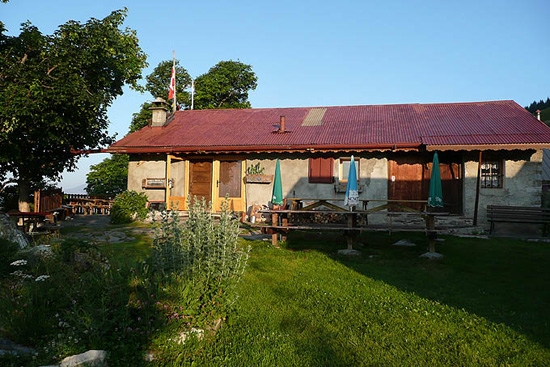 P1090442 - copie