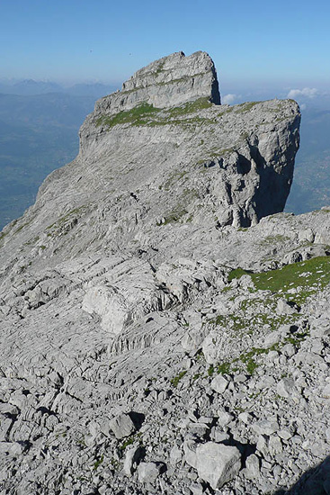 P1090456 - copie