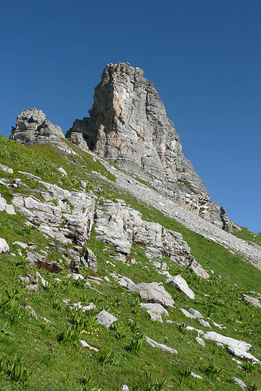 P1090457 - copie