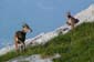 P1090449 - copie