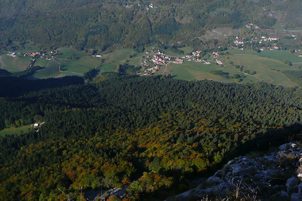 P1100179 - copie