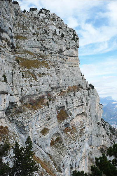 P1100249 - copie