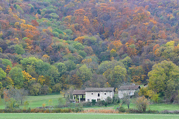 P1100370 - copie