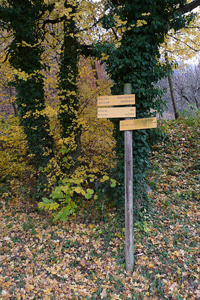 P1100372 - copie