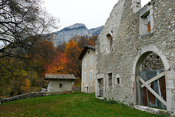 P1100376 - copie