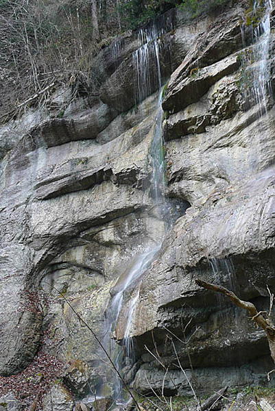 P1100382 - copie