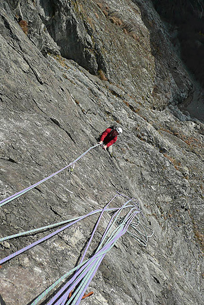 P1100419 - copie