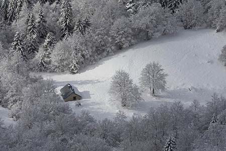 ours_2