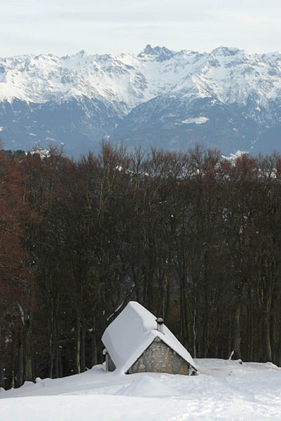 P1110319 - copie