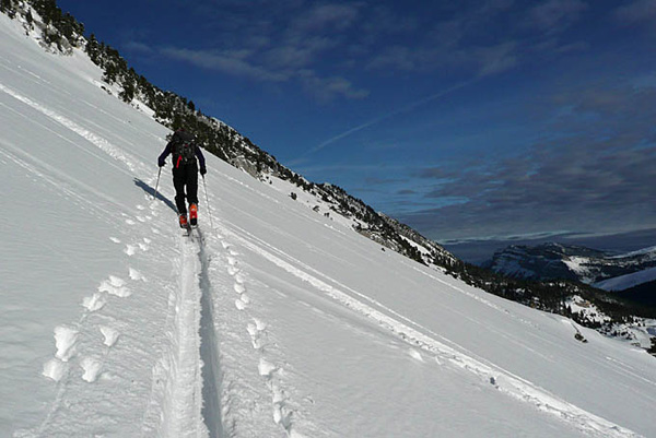 P1110387 - copie